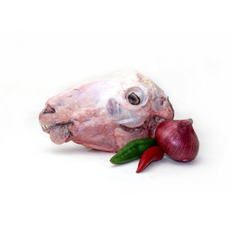 Mutton Head